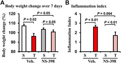 Smooth muscle dysfunction in the pre-inflammation site in stenotic Crohn’s-like colitis: implication of mechanical stress in bowel dysfunction in gut inflammation